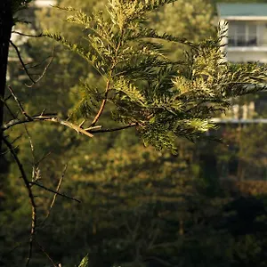3* Semesteranläggning (resort) Falcon Crest